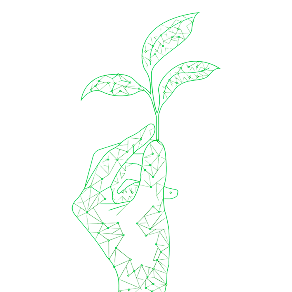 manutencaoLikenutrans